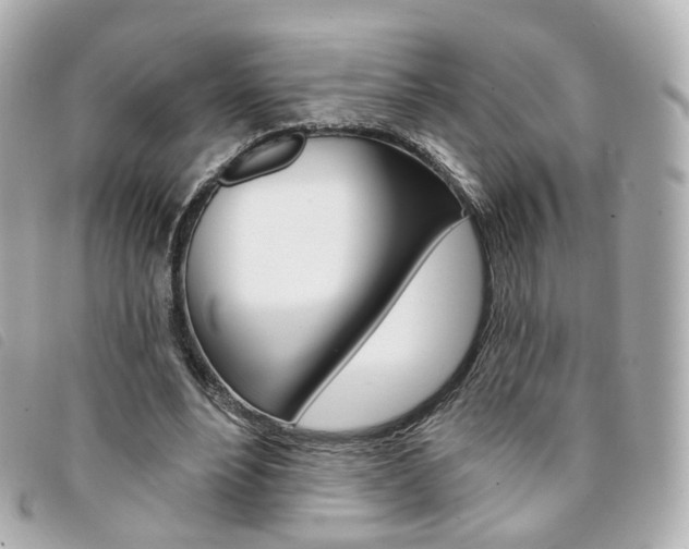 X0000094210488200710260936