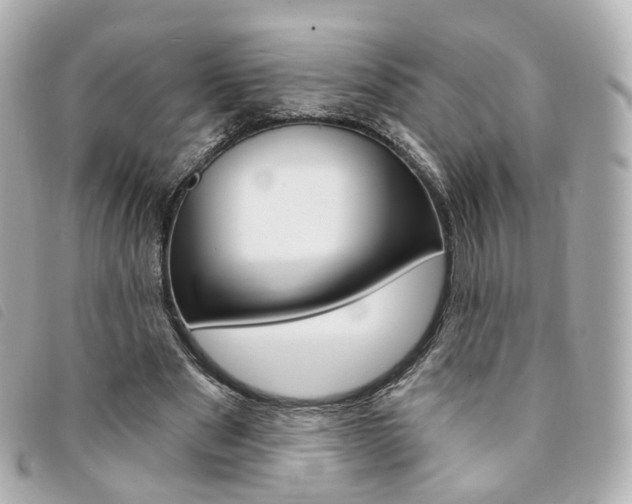 X0000094210489200710260936