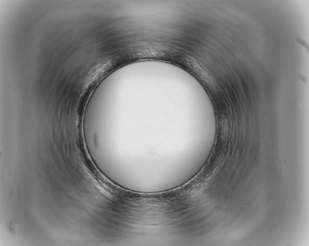 X0000094210490200710260936