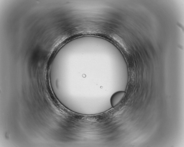 X0000094210491200710260936