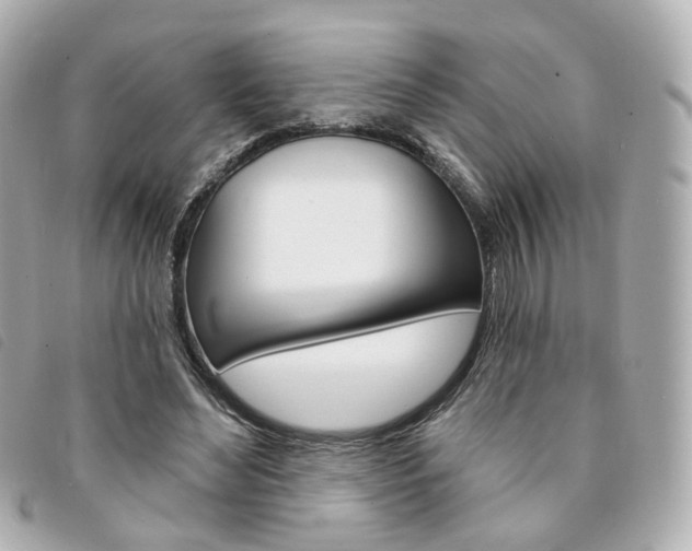 X0000094210492200710260936