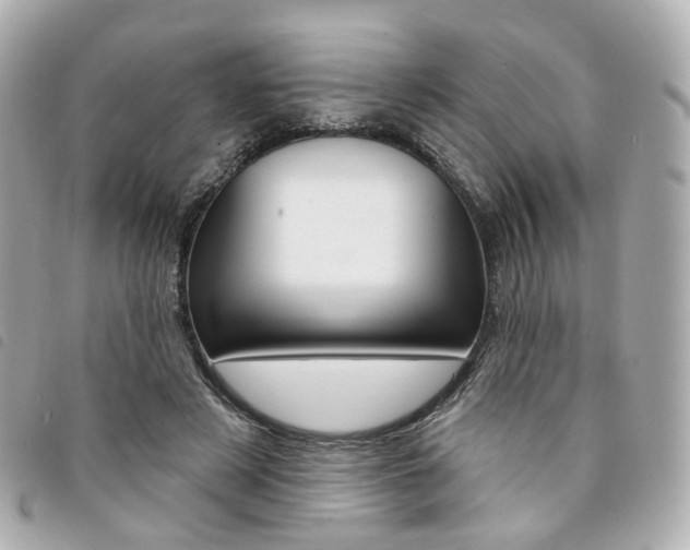 X0000094210497200710260936
