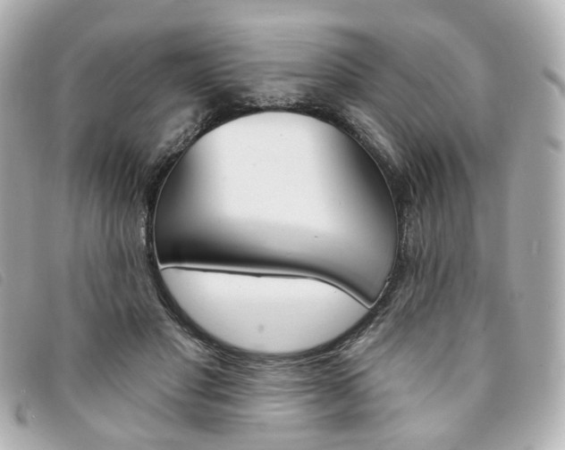 X0000094210501200710260936