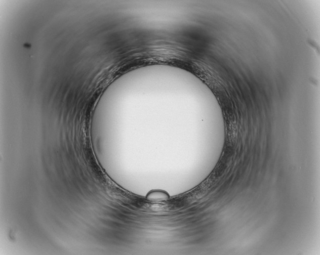 X0000094210506200710260936