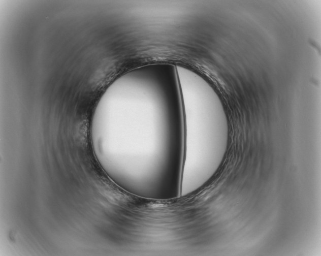 X0000094210509200710260936
