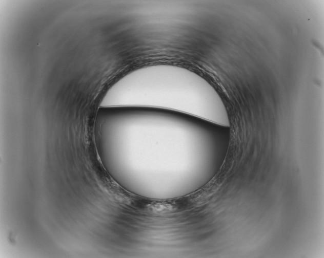 X0000094210512200710260936
