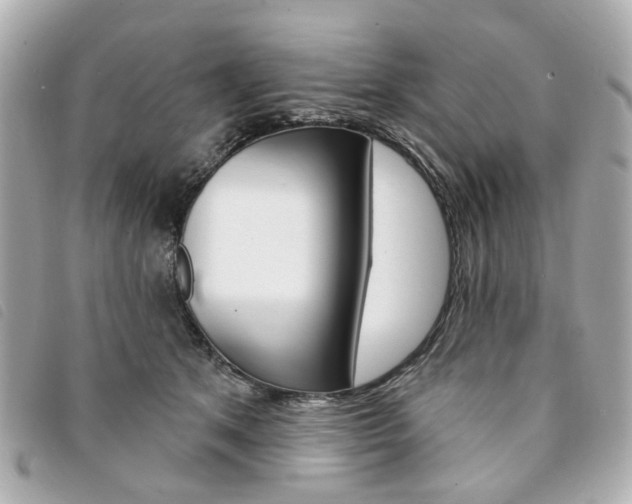 X0000094210513200710260936