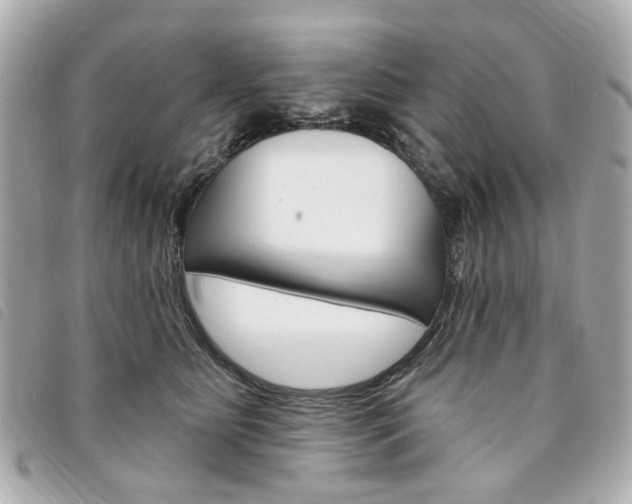 X0000094210515200710260936