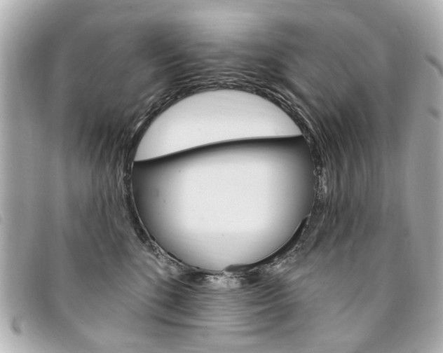 X0000094210520200710260936