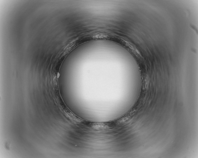 X0000094210521200710260936