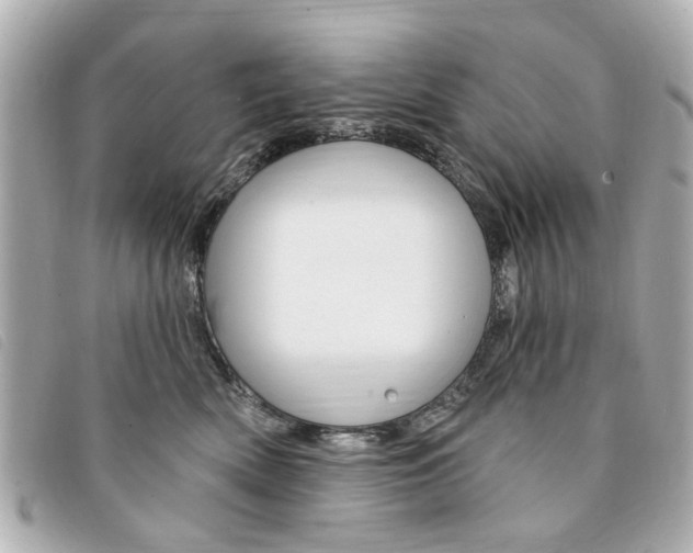 X0000094210522200710260936