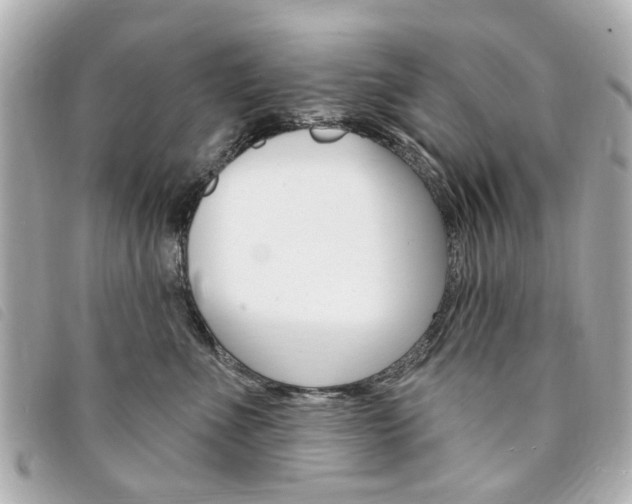X0000094210523200710260936