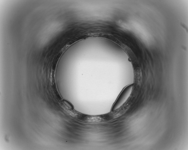 X0000094210525200710260936