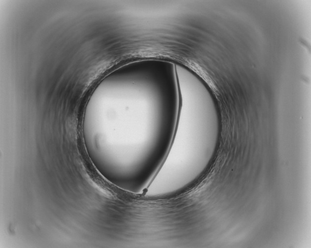 X0000094210530200710260935