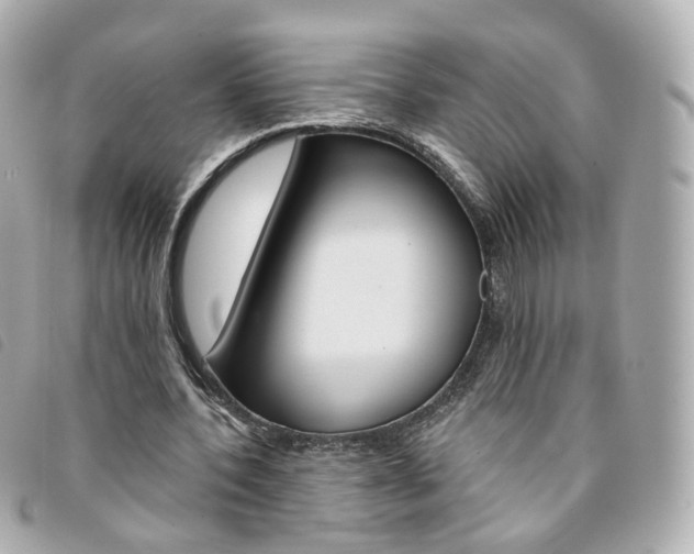 X0000094210532200710260935