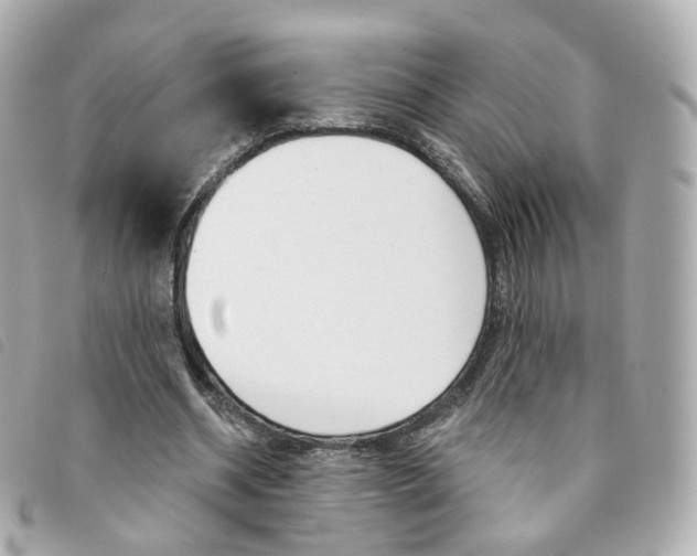 X0000094210534200710260935