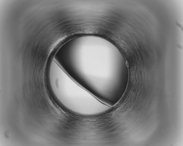 X0000094210536200710260935