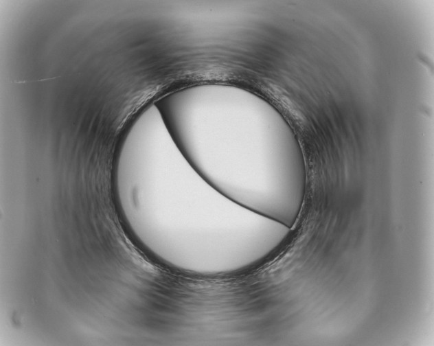 X0000094210537200710260935