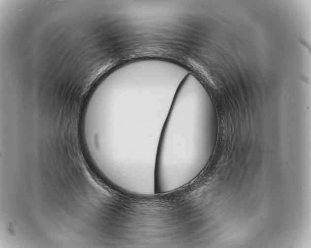 X0000094210538200710260935