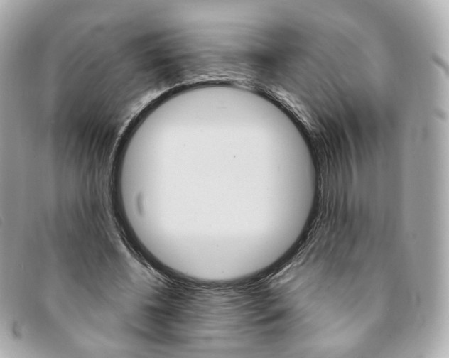 X0000094210540200710260935