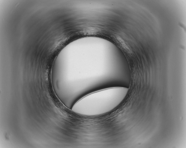 X0000094210543200710260935