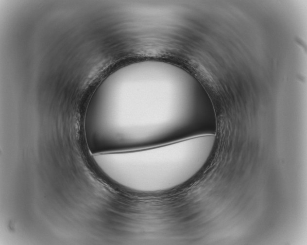 X0000094210544200710260935