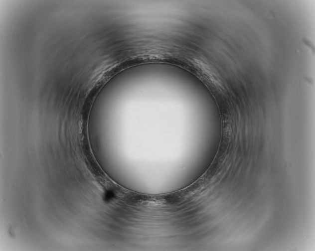 X0000094210548200710260935
