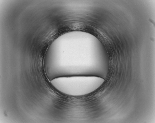 X0000094210554200710260935