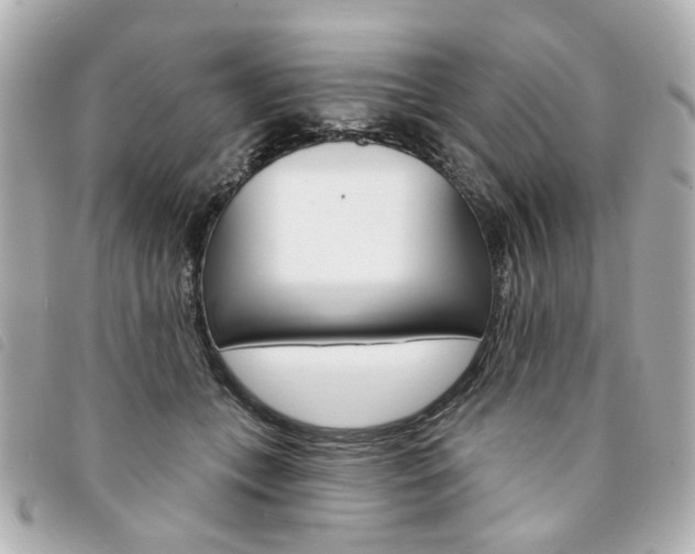 X0000094210559200710260936