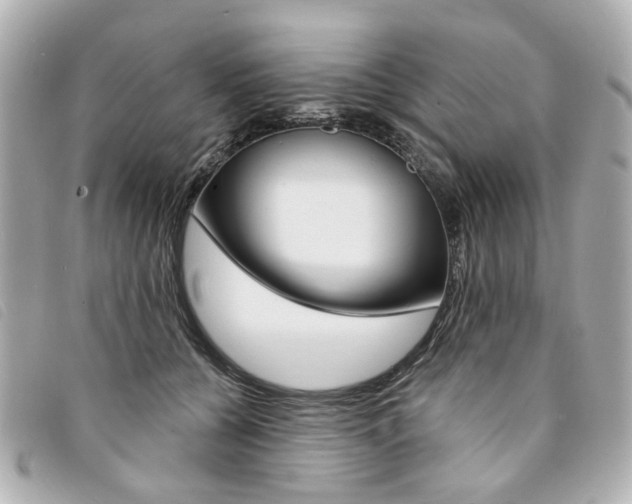 X0000094210560200710260936