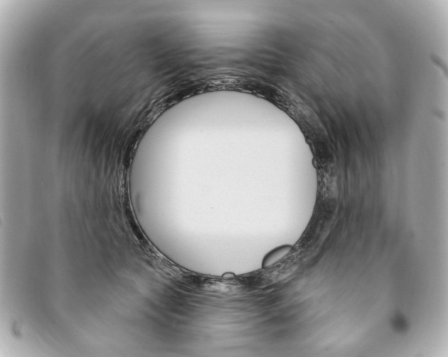 X0000094210561200710260936