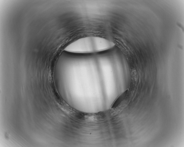 X0000094210564200710260936