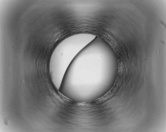 X0000094210568200710260936