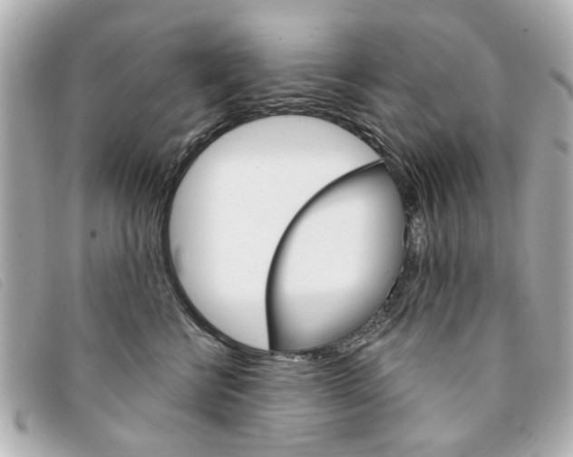 X0000094210570200710260936