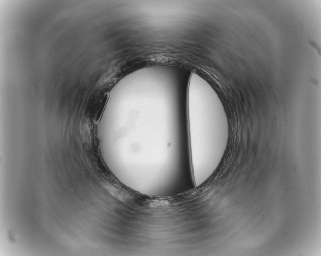 X0000094210572200710260936