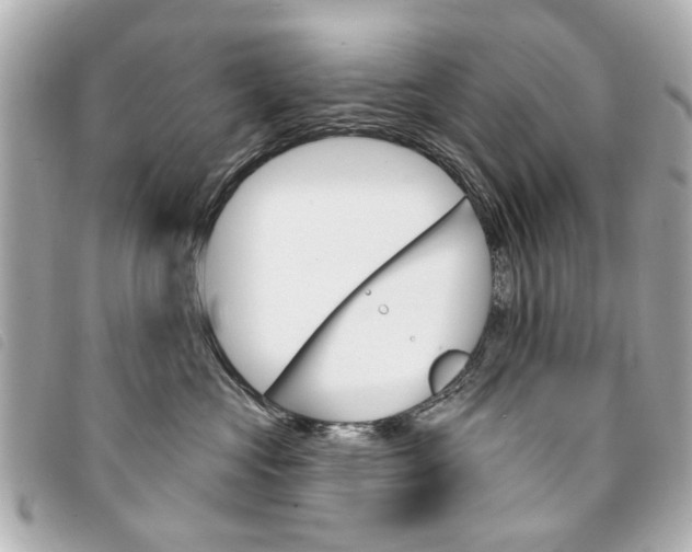 X0000094210573200710260936