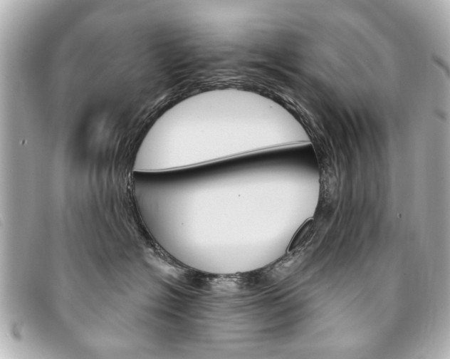 X0000094210574200710260936