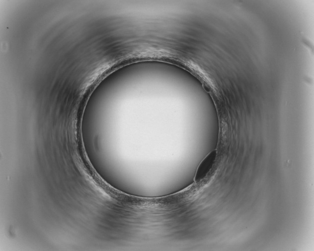 X0000094210581200710260935