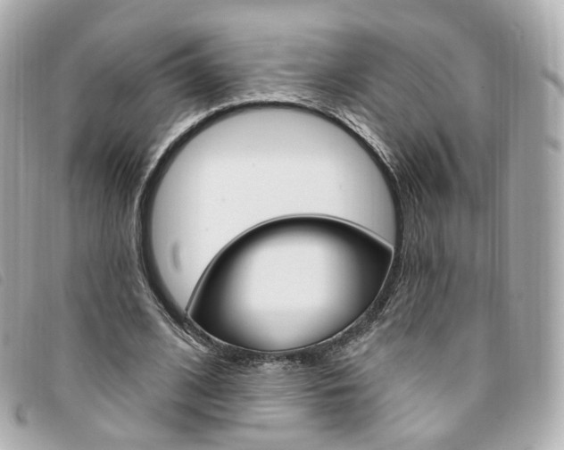 X0000094210584200710260935