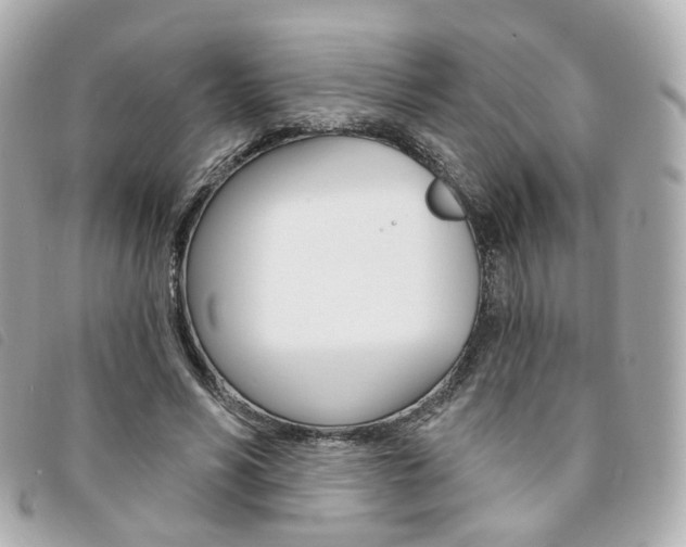 X0000094210590200710260935
