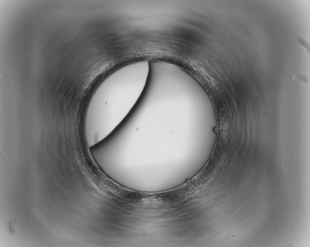 X0000094210591200710260935