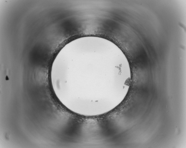X0000094210592200710260935