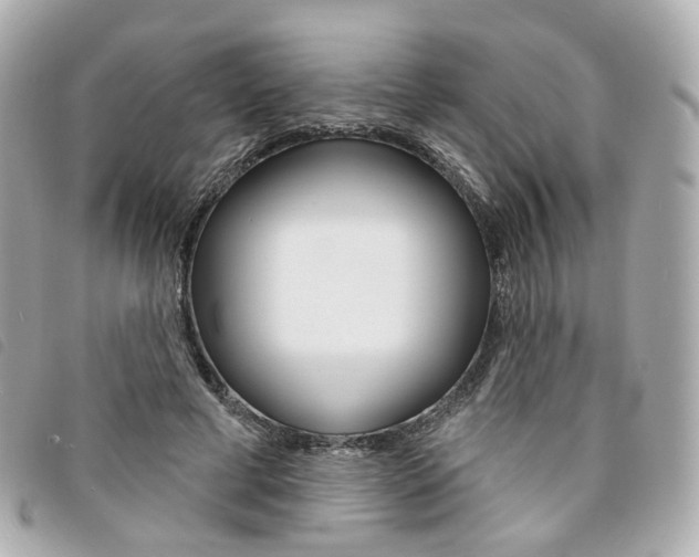X0000094210593200710260935