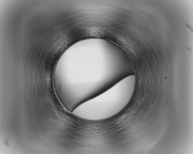 X0000094210595200710260935