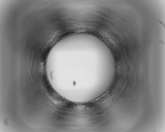 X0000094210598200710260935