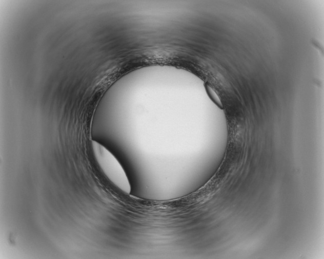 X0000094210599200710260935