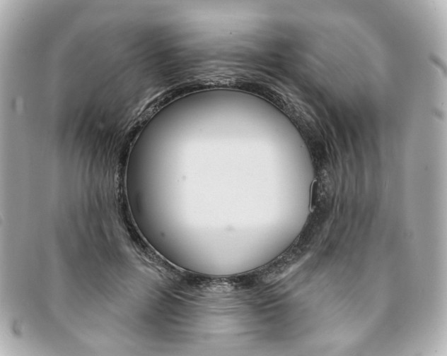 X0000094210600200710260935