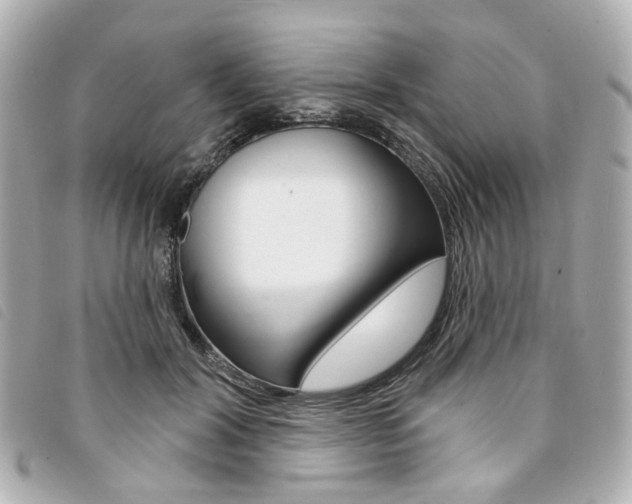 X0000094210604200710260935