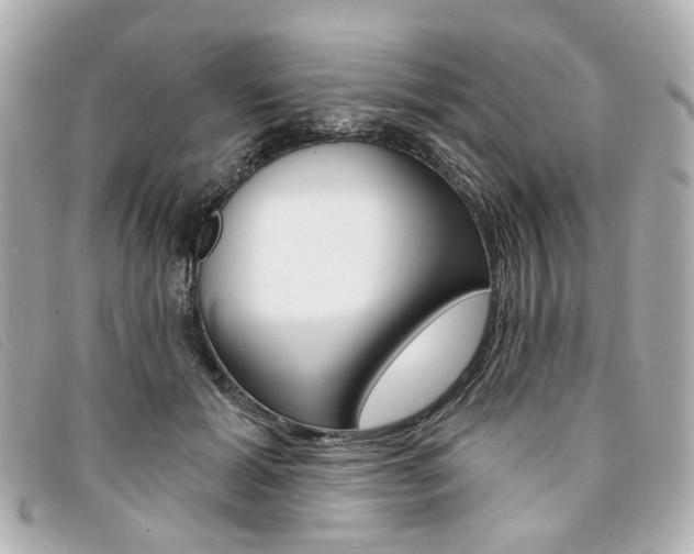 X0000094210605200710260935