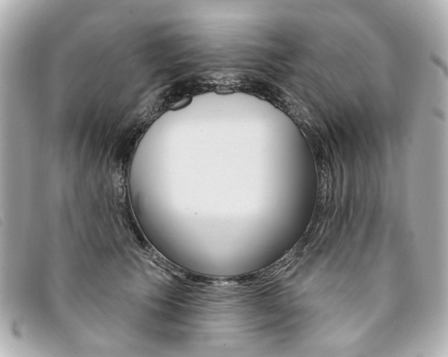 X0000094210609200710260935
